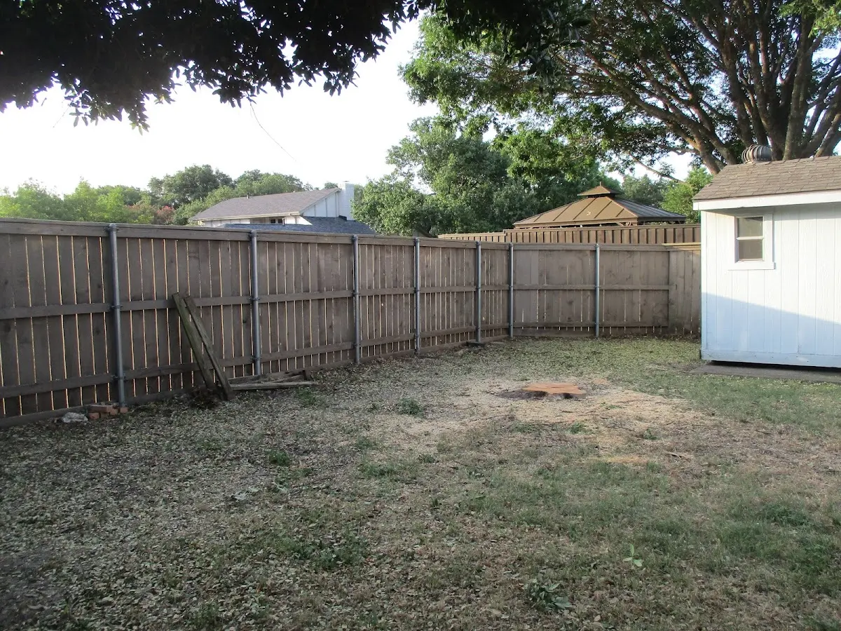 Cleared yard after professional tree removal in Ruther Glen