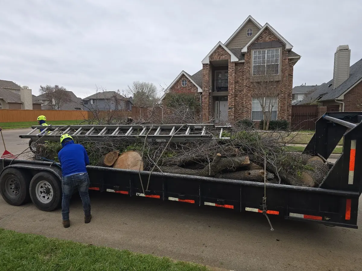 Expert Tree Removal with proper safety equipment in Ruther Glen